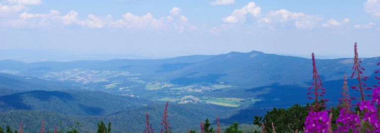 Nationalpark Bayerischer Wald - Großer Arber