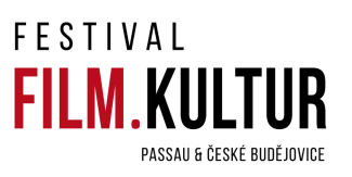 Logo D-CZ Festival